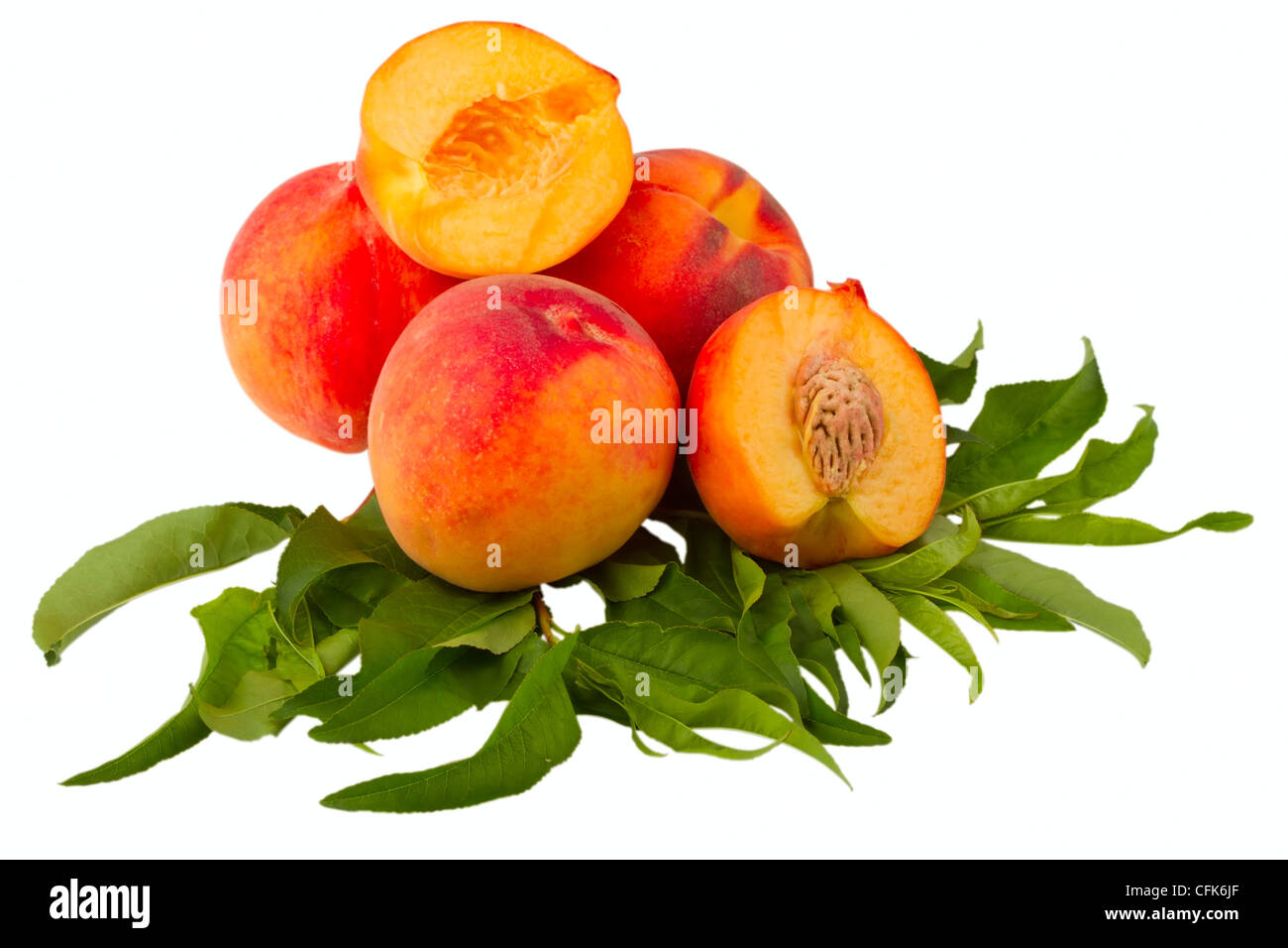 Pfirsich Früchten isoliert auf weißem Hintergrund Stockfoto