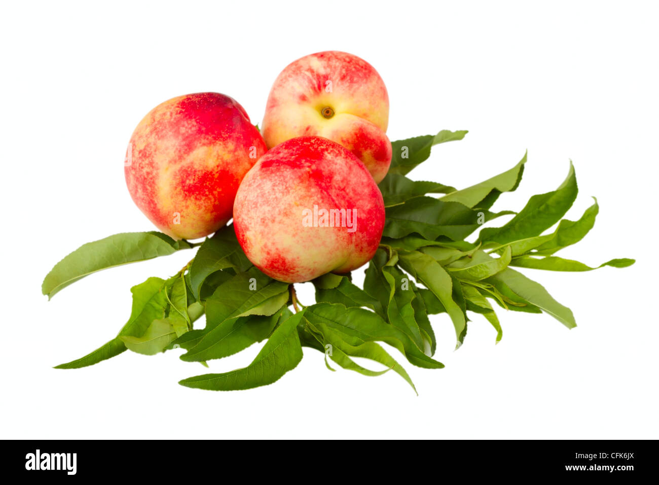 Nektarine Früchten isoliert auf weißem Hintergrund Stockfoto