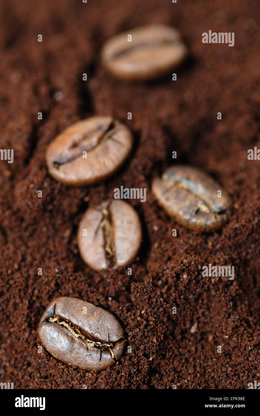 Fünf Kaffeebohnen. Unteren linken Bohne im Mittelpunkt. Stockfoto