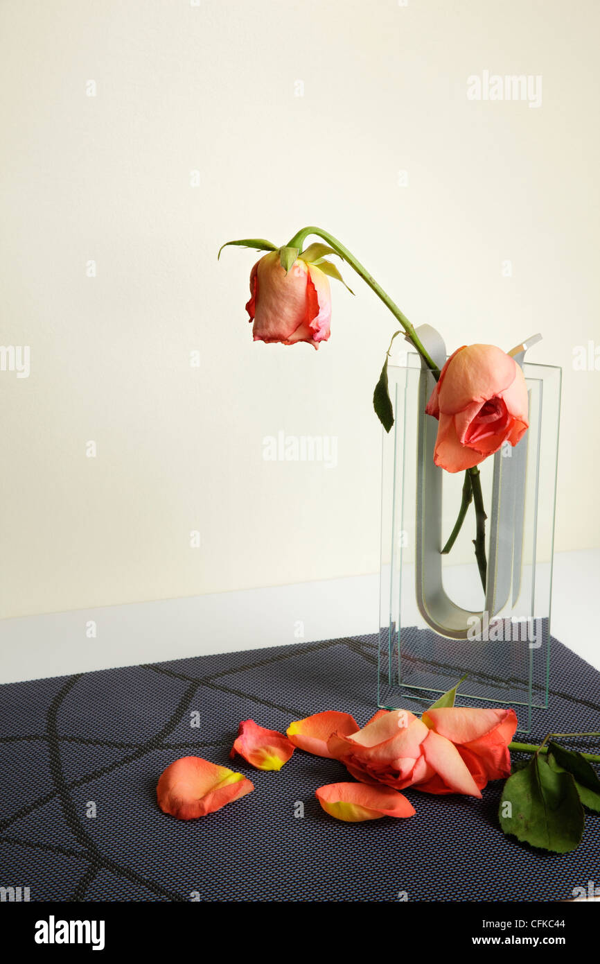 Welken Rosen in Glasvase Stockfoto