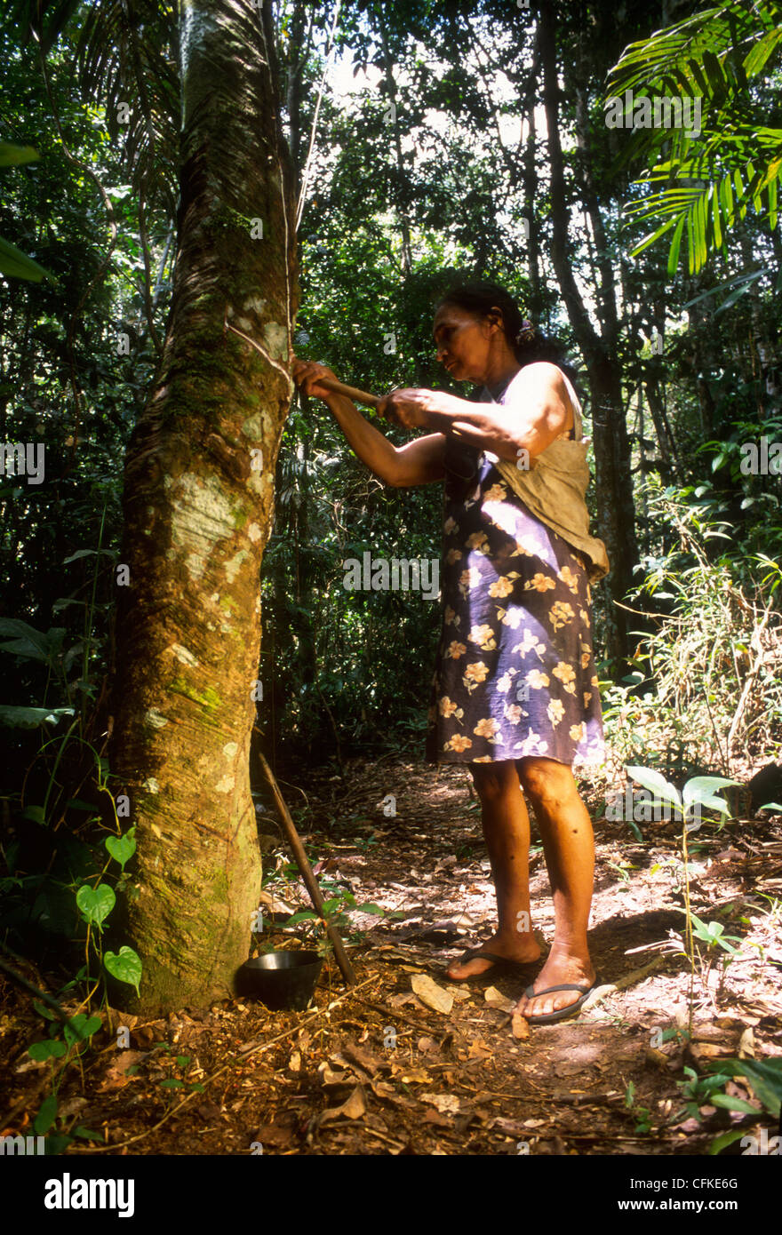 Frau als Kautschuk Sammler, Zustand: Rondonia, Amazonas Regenwald, Brasilien. Stockfoto