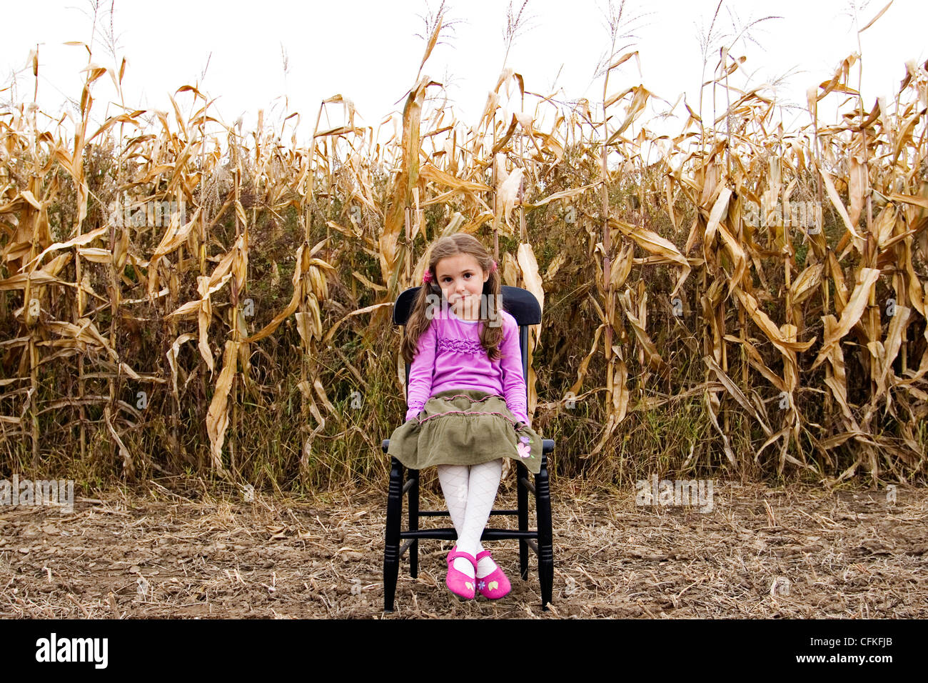 Junges Mädchen auf Stuhl im Maisfeld Stockfoto
