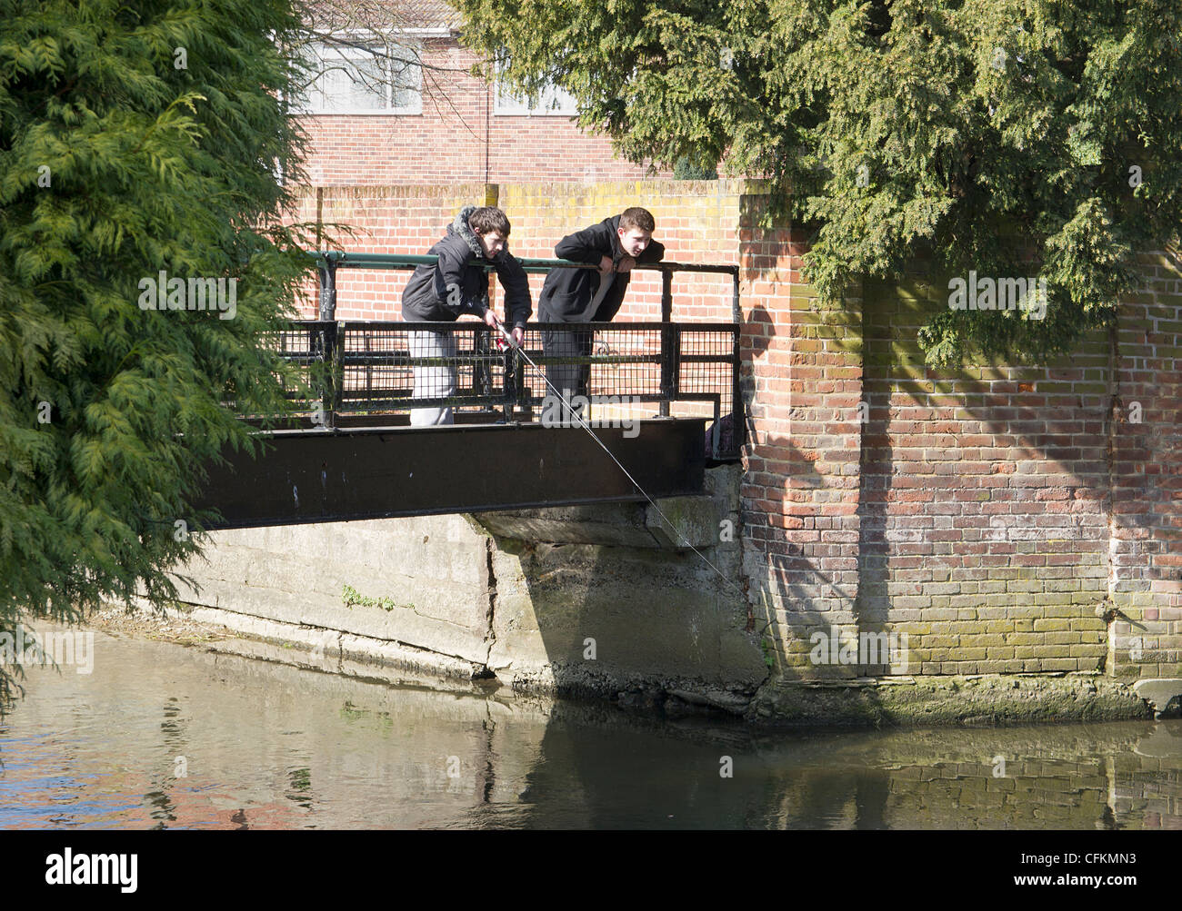 Jungen Fischen von Brücke Fluss Stour Canterbury Kent UK Stockfoto