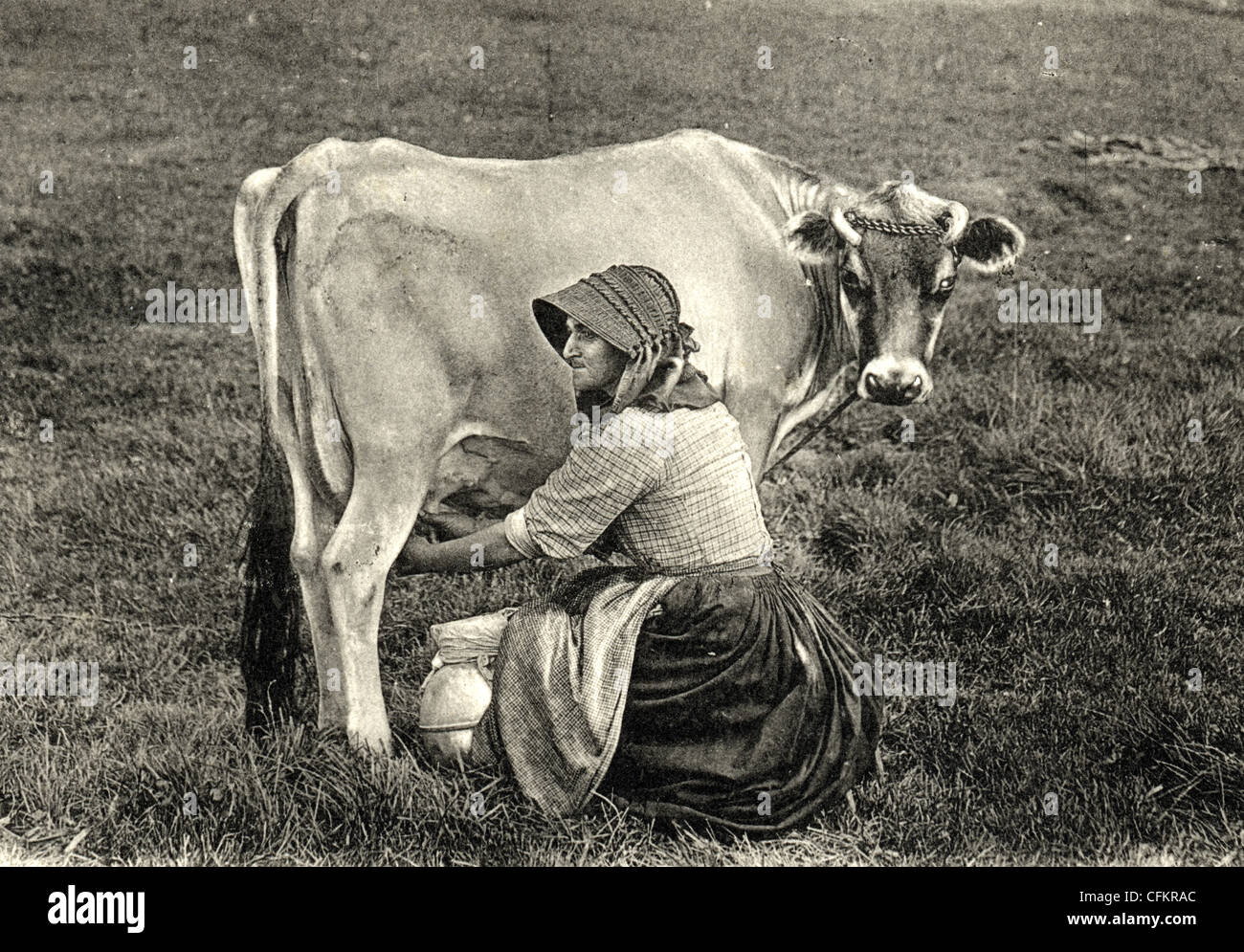 Milchmädchen, eine Kuh zu melken Stockfoto