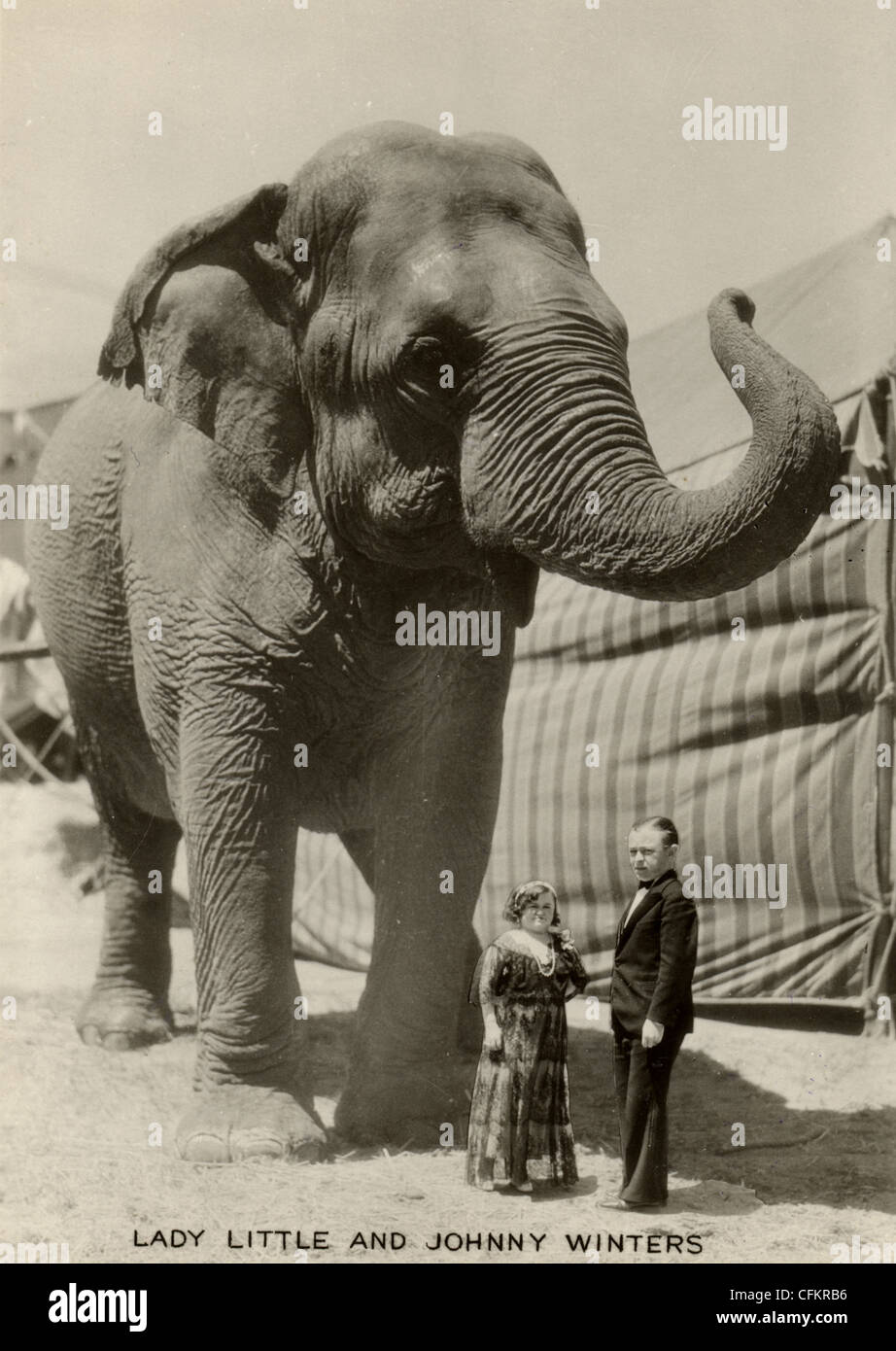 Midget paar & Zirkus Elefanten Stockfoto