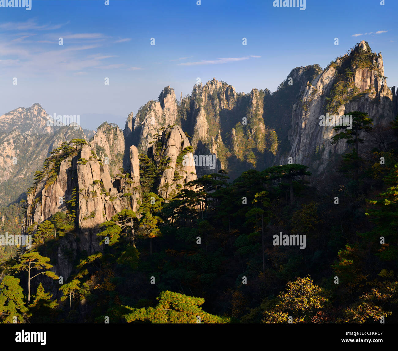 Pinien in der achtzehn Arhats Anbetung am Südsee und Camel Back Peak bei gelben Berg Huangshan China Stockfoto