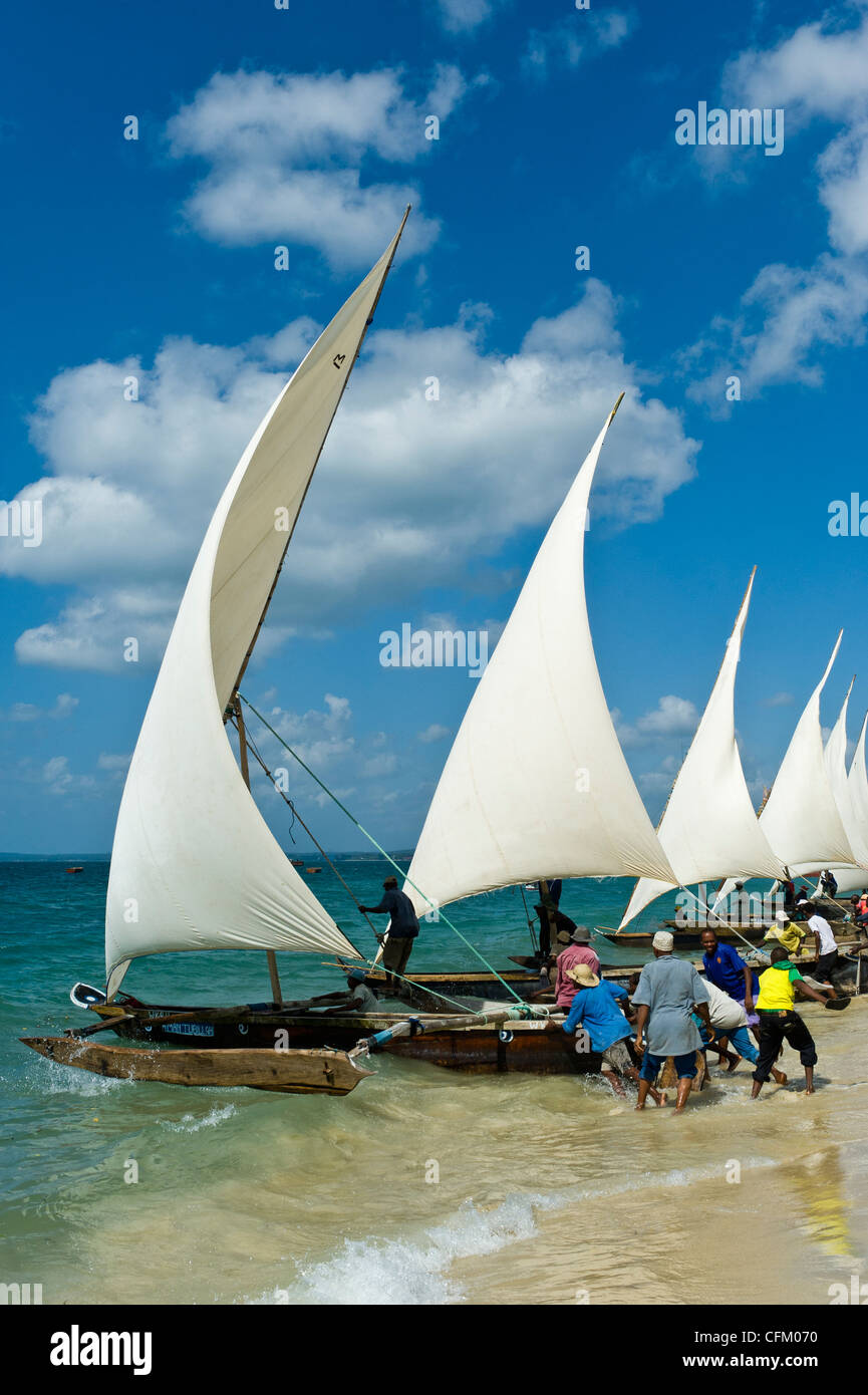 Start einer Regatta für "Ngalawa" der traditionellen Doppel-Outrigger Boote in Stone Town Sansibar Tansania Stockfoto