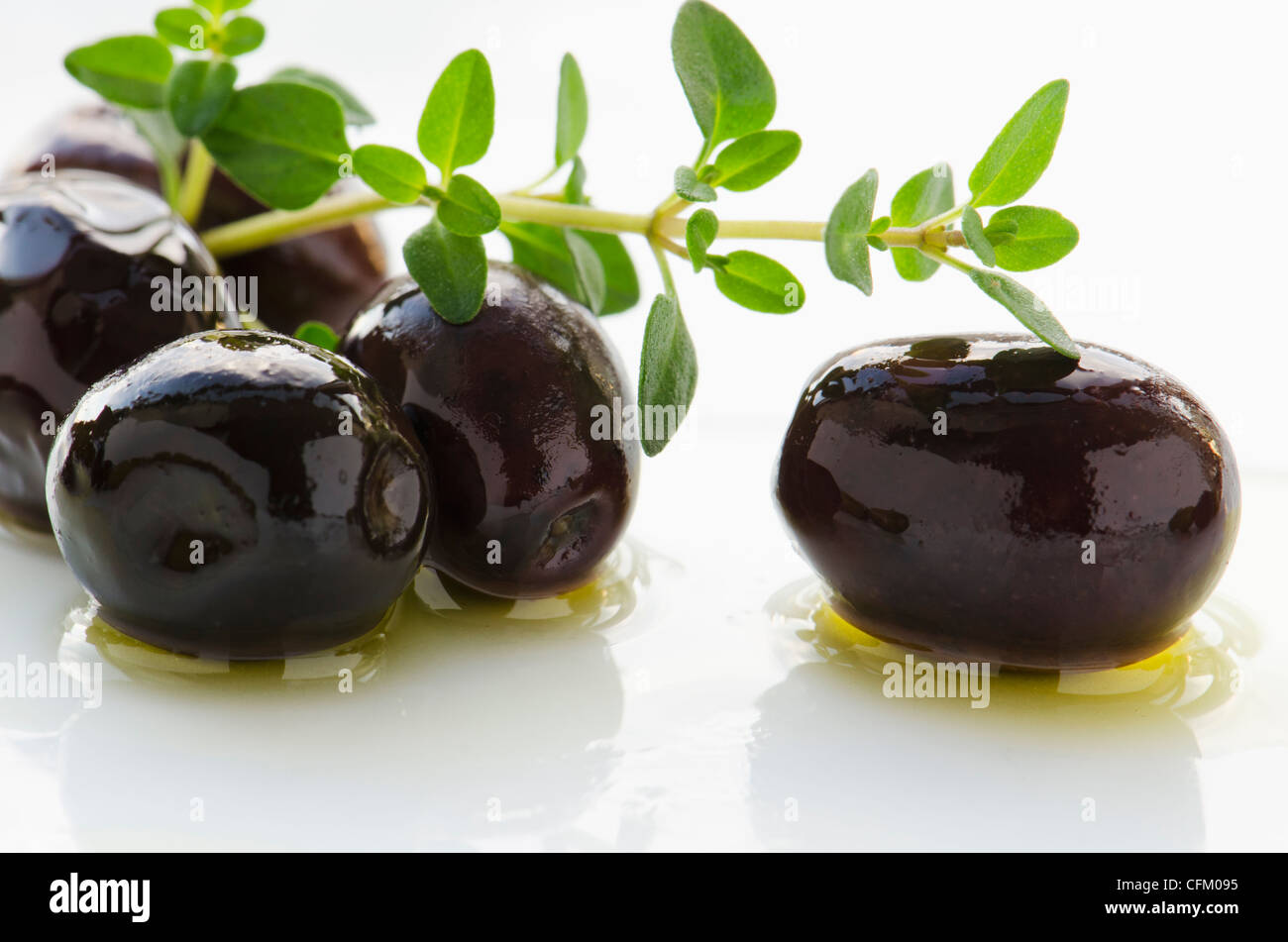 Nahaufnahme von schwarzen Oliven mit frischem Thymian, Studio gedreht Stockfoto