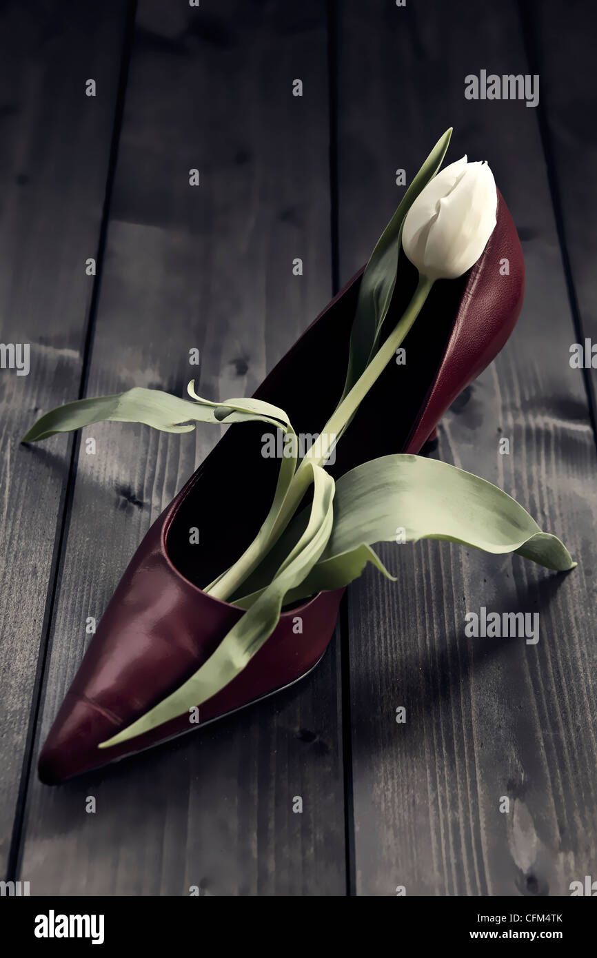eine Tulpe in einem Schuh Stockfoto