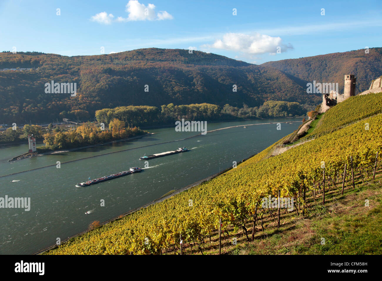 Mäuseturm bei Bingen, Burg Ehrenfels, Rheintal, Rheinland-Pfalz, Deutschland, Europa Stockfoto