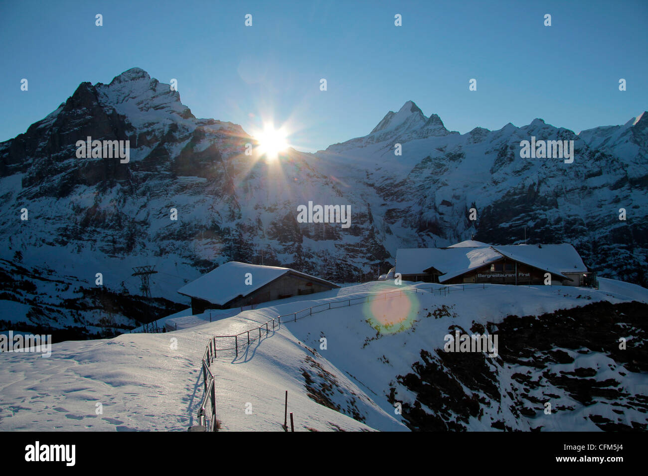 Sonnenaufgang am Wetterhorn, gesehen vom First, Grindelwald, Berner Oberland, Schweizer Alpen, Schweiz, Europa Stockfoto