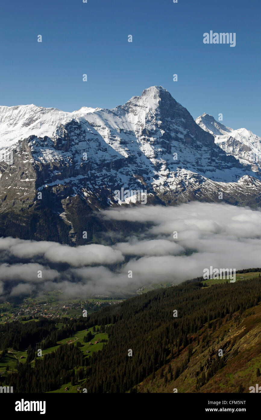 Blick von Grindelwald-First, Berner Alpen mit Eiger, Berner Oberland, Schweizer Alpen, Schweiz, Europa Stockfoto