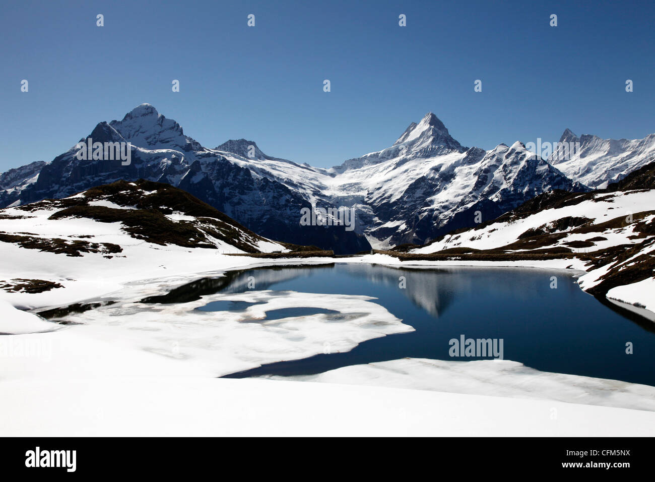 Bachalpsee in GrindelwaldFirst und Berner Alpen, Berner Oberland, Schweizer Alpen, Schweiz