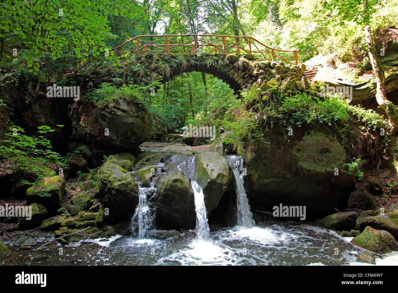 Wasserfall Schiessentumpel am Mullerthal, Luxemburg, Europa Stockfoto
