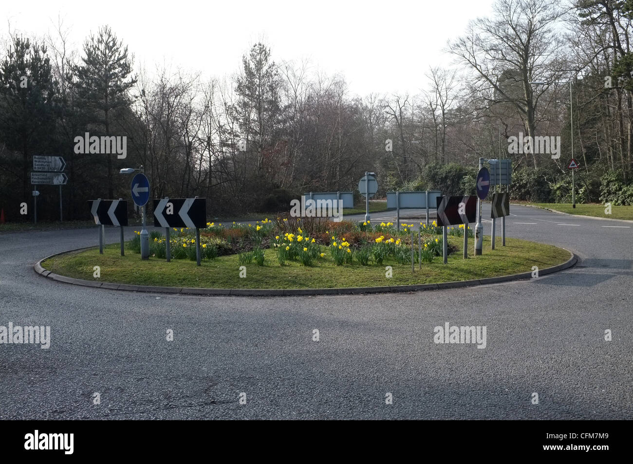Kreisverkehr in Frühling, Kreuzung von neun Meile fahren & alte Wokingham Road Stockfoto