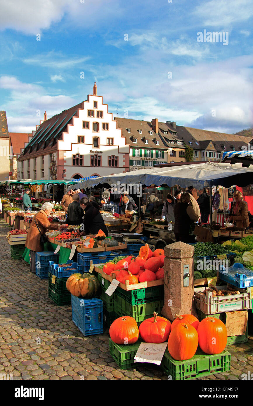 Markt am Münsterplatz (Münsterplatz), Freiburg, Baden-Württemberg, Deutschland, Europa Stockfoto