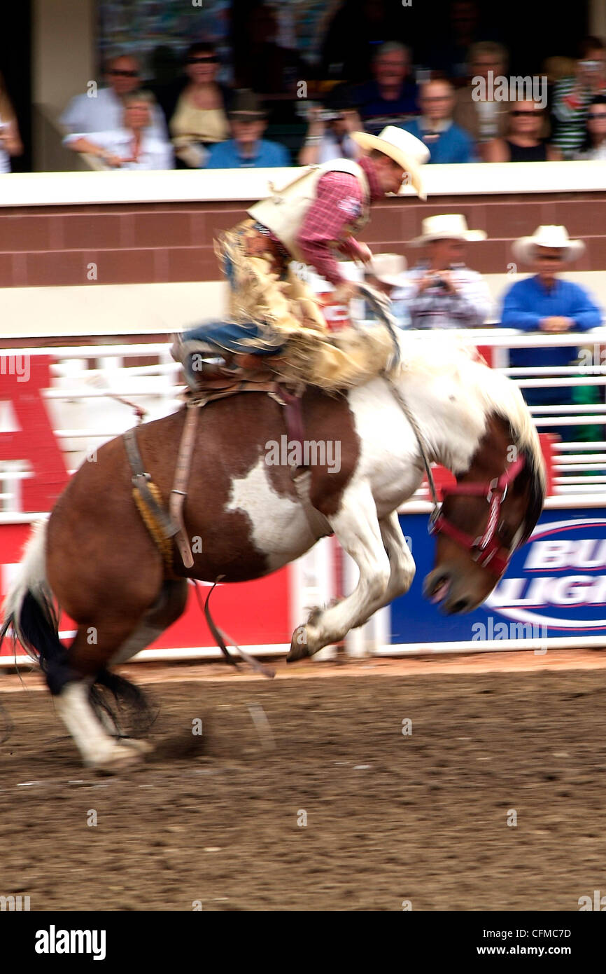 Calgary Stampede, Stampede Park, Calgary, Alberta, Kanada, Nordamerika Stockfoto