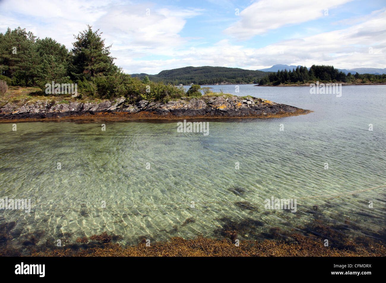 Das klare Wasser der Hardangerfjord, Norwegen, Skandinavien, Europa Stockfoto