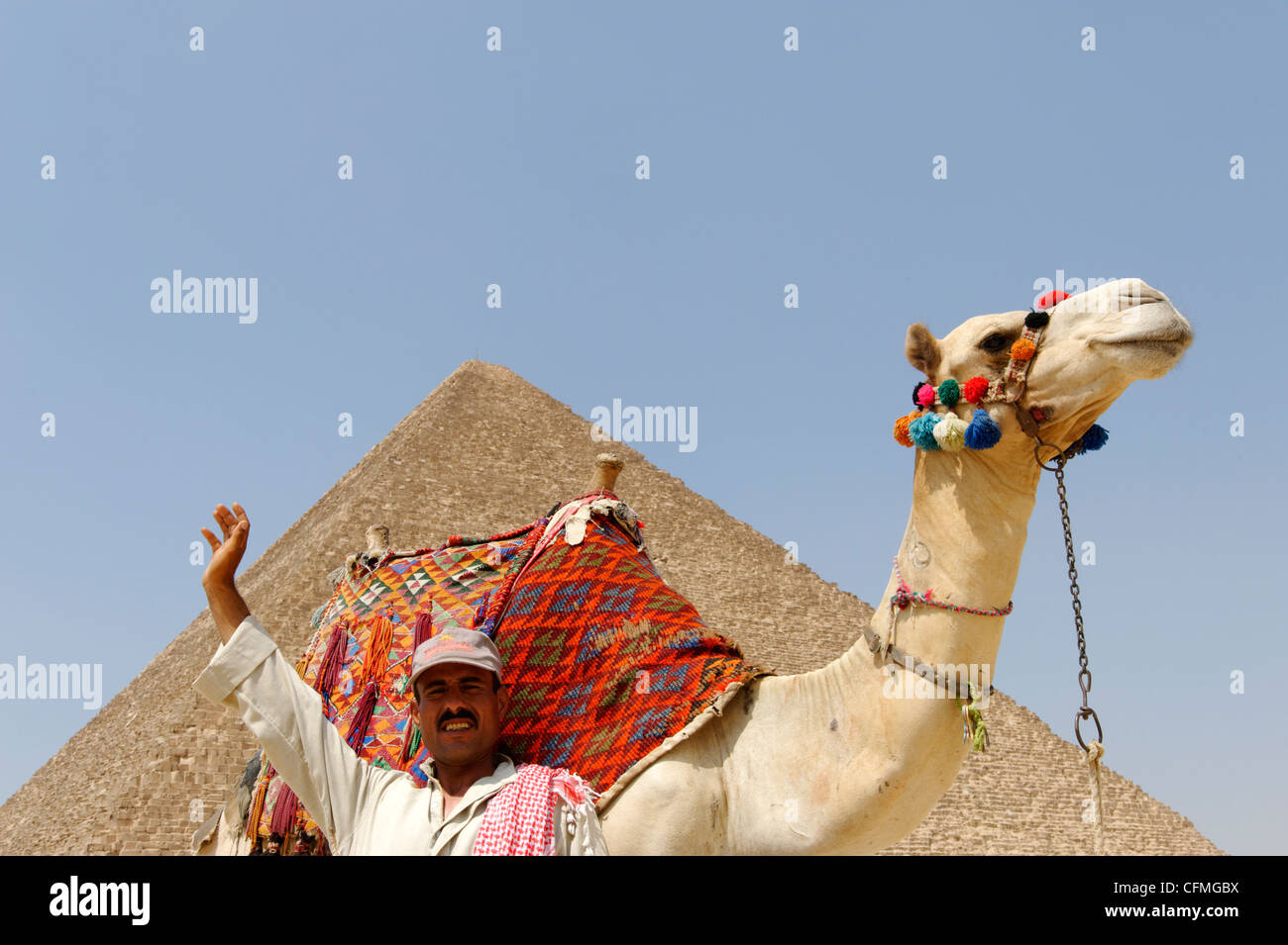 Gizeh. Kairo. Ägypten. Blick auf Kamel und seinen Fahrer vor der großen Pyramide von Khufu (Cheops) von Gizeh, der ältesten Stockfoto