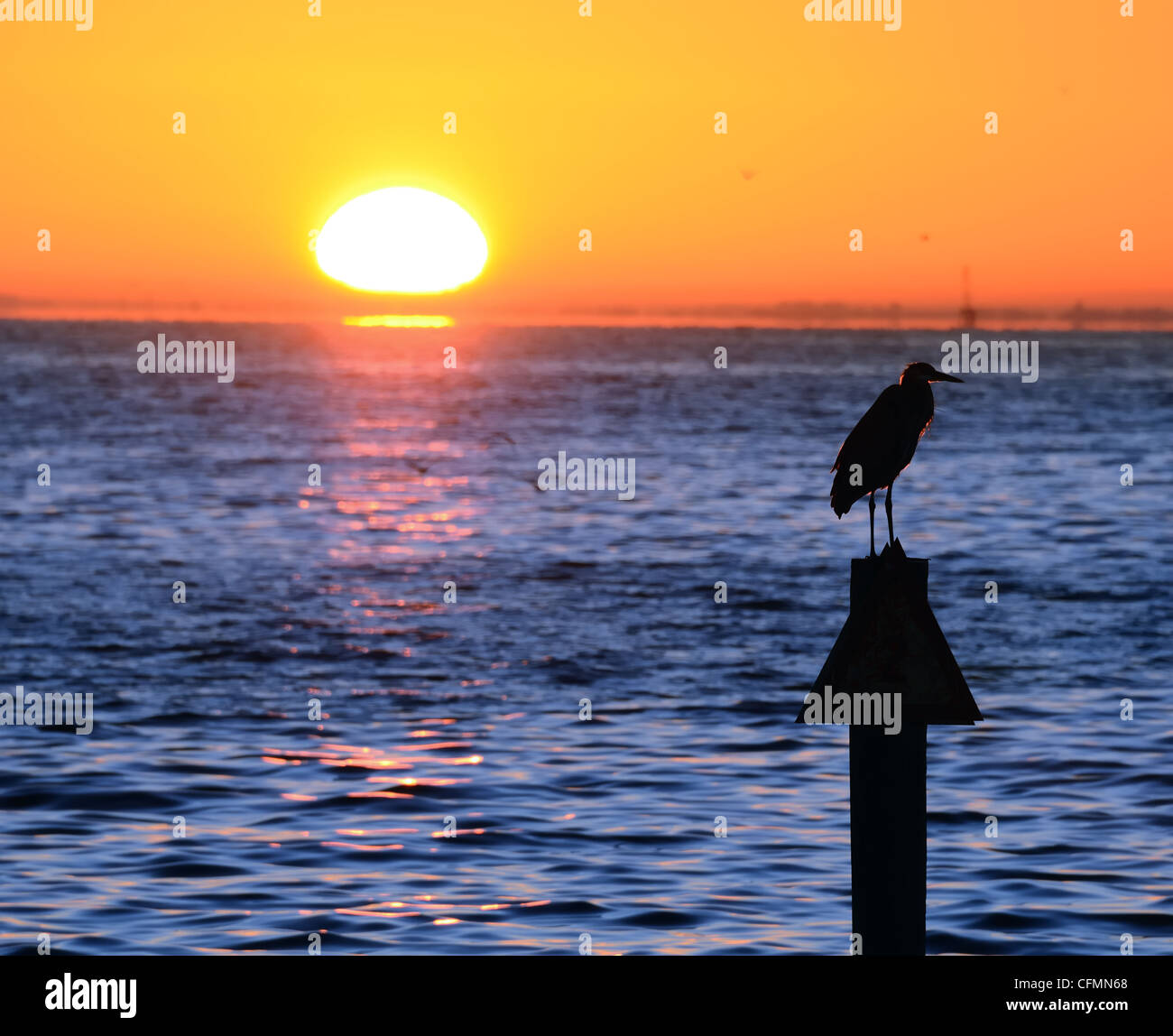 Sonnenaufgang über dem Wasser mit einem Vogel an einem Hochspannungsmast Stockfoto