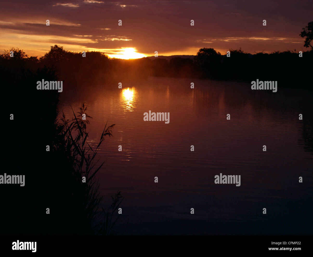 Nebligen Morgen auf dem Kanal, Gloucester und Schärfe-Kanal, UK Stockfoto