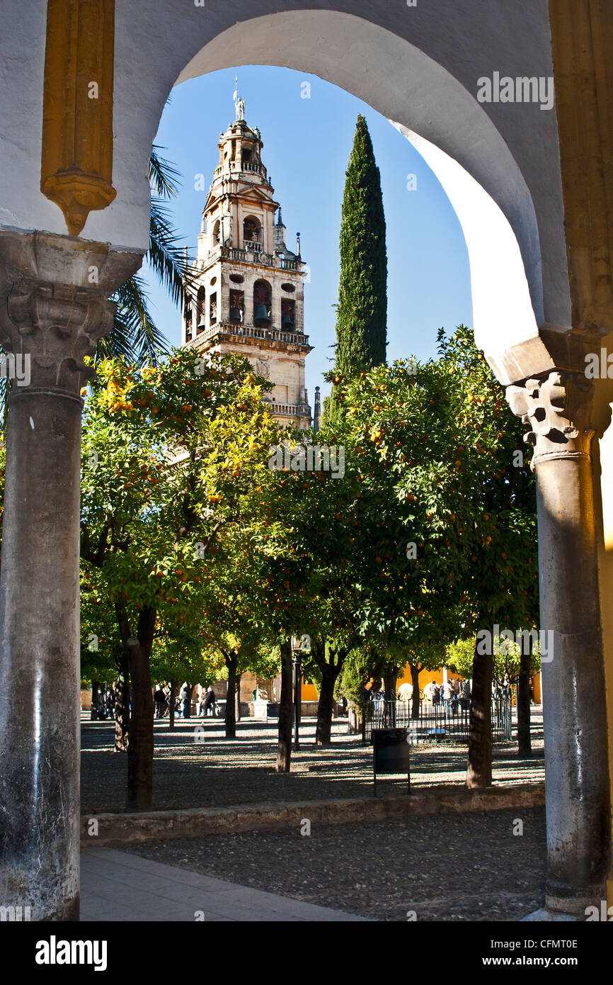 Höfe der großen Moschee von Cordoba (Córdoba) mit Glockenturm, ehemalige Minarett und Oragnerie Stockfoto