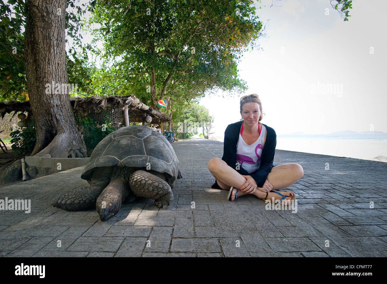 Seychellen, LA DIGUE ISLAND ist einer der beliebtesten Orte für Touristen wegen seiner schönen Strände und berühmte Schildkröten... Stockfoto