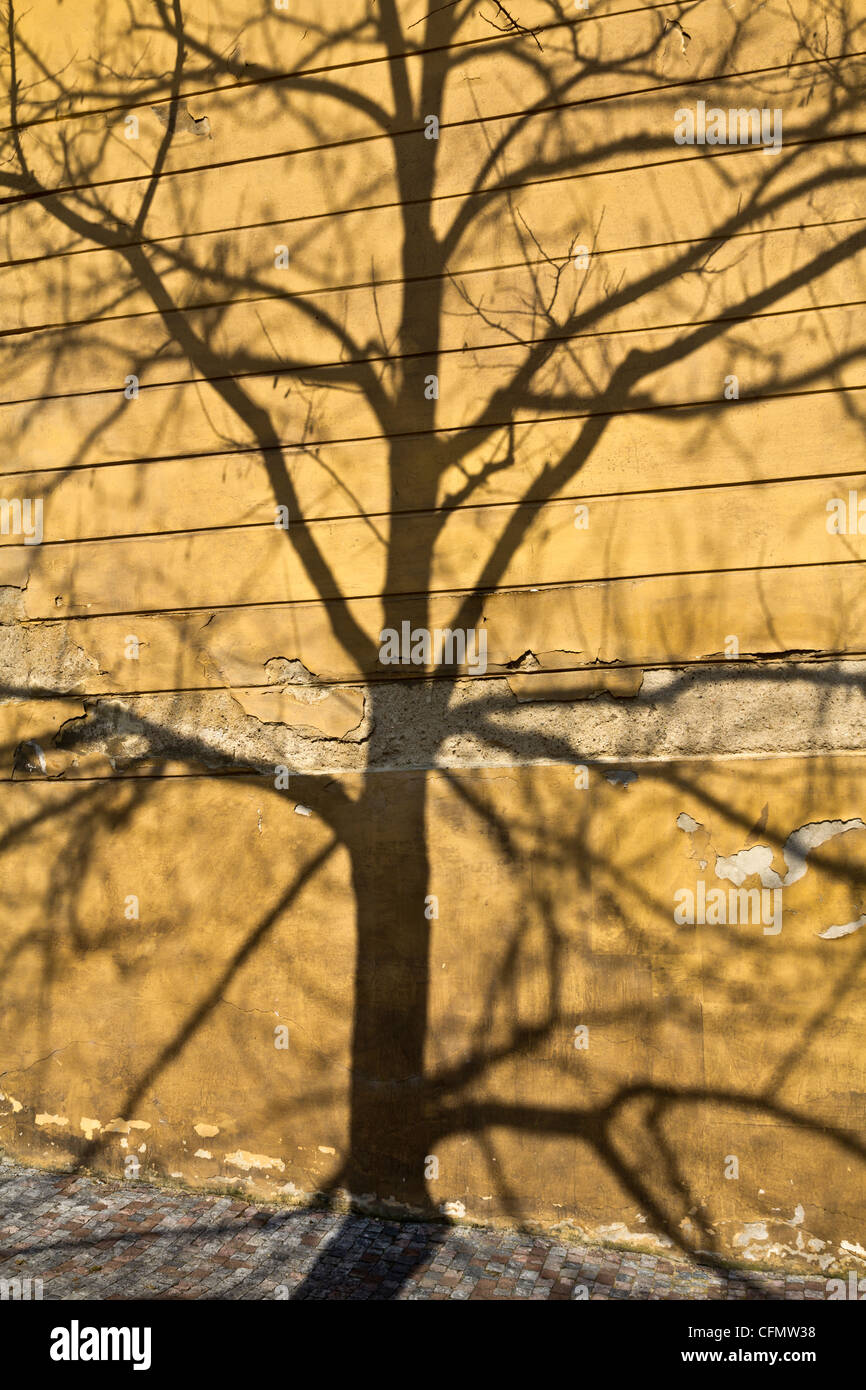 Schatten auf der Wand in der Nähe von Prager Burg, Tschechische Republik Stockfoto