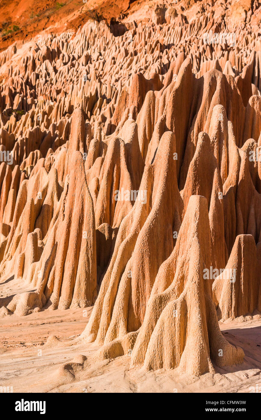Die roten Tsingy von Antsiranana (Diego Suarez), Madagaskar Stockfoto