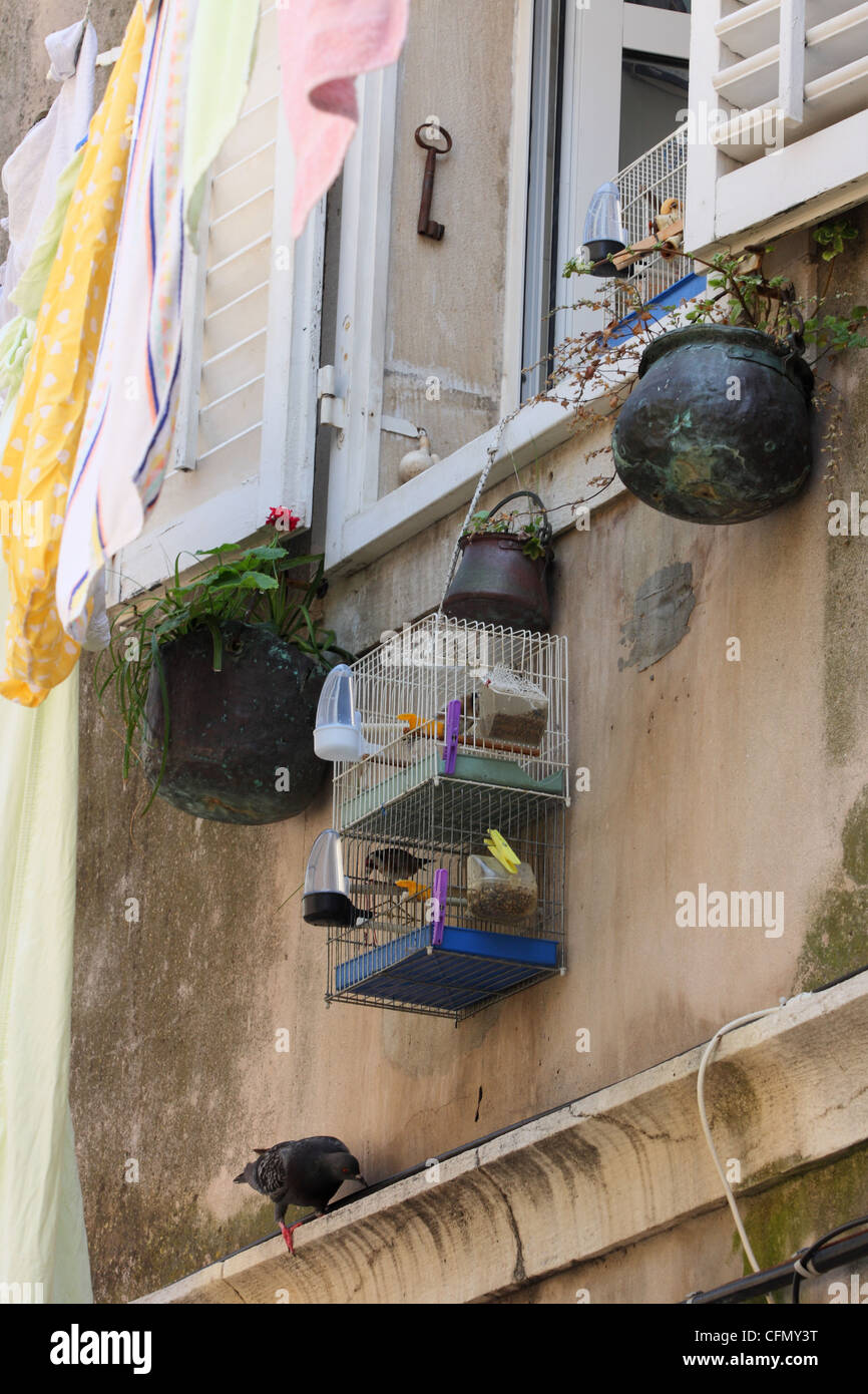 Käfig mit einem Vogel hing draußen vor dem Fenster. Dubrovnik, Kroatien Stockfoto