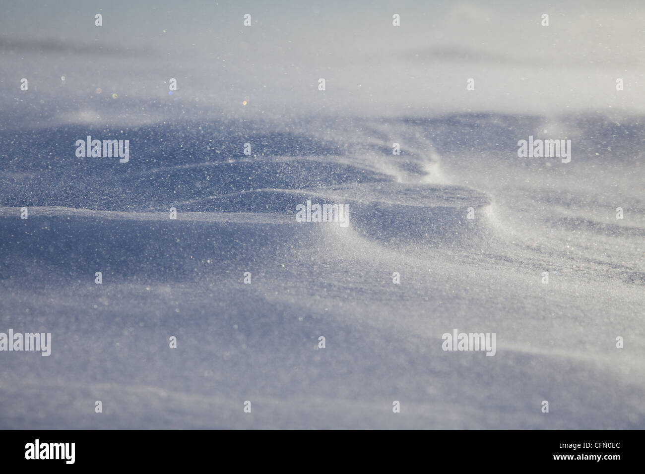 Blizzard, Finnland, Arktis, Kälte, Schnee, wind Stockfoto