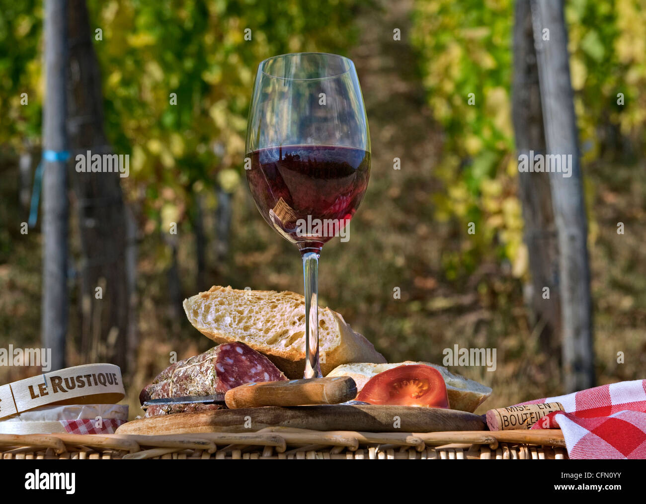 Französisches rustikales Picknick-Mittagessen mit lokalem Rotweinbrot, Käse Und tassisson in Französisch Weinberg Frankreich Stockfoto