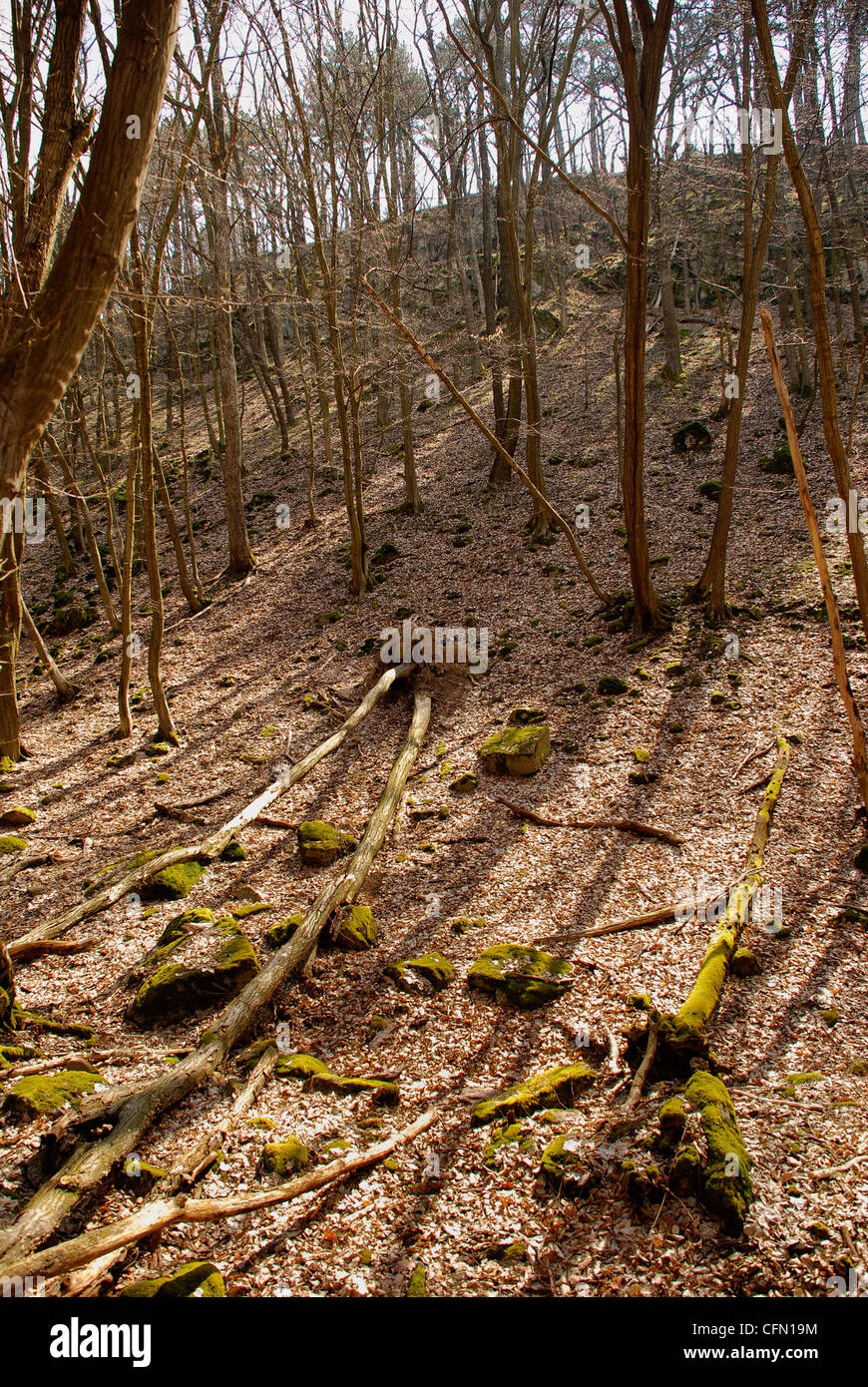 unberührte Natur-Shooting in einem großen Tal Stockfoto