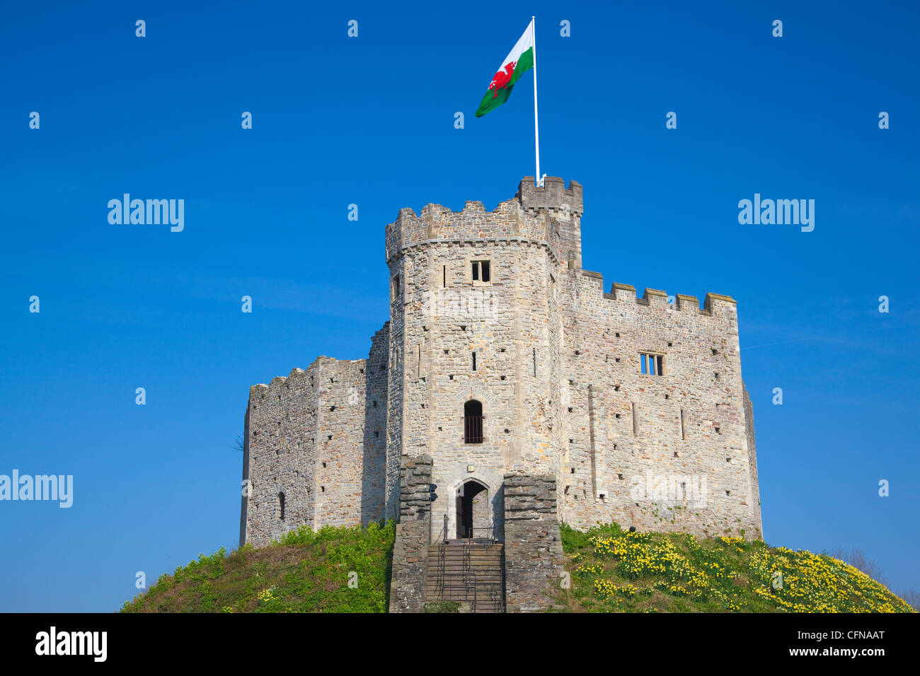 Norman halten, Schloss von Cardiff, Cardiff, Südwales, Wales, Vereinigtes Königreich, Europa Stockfoto