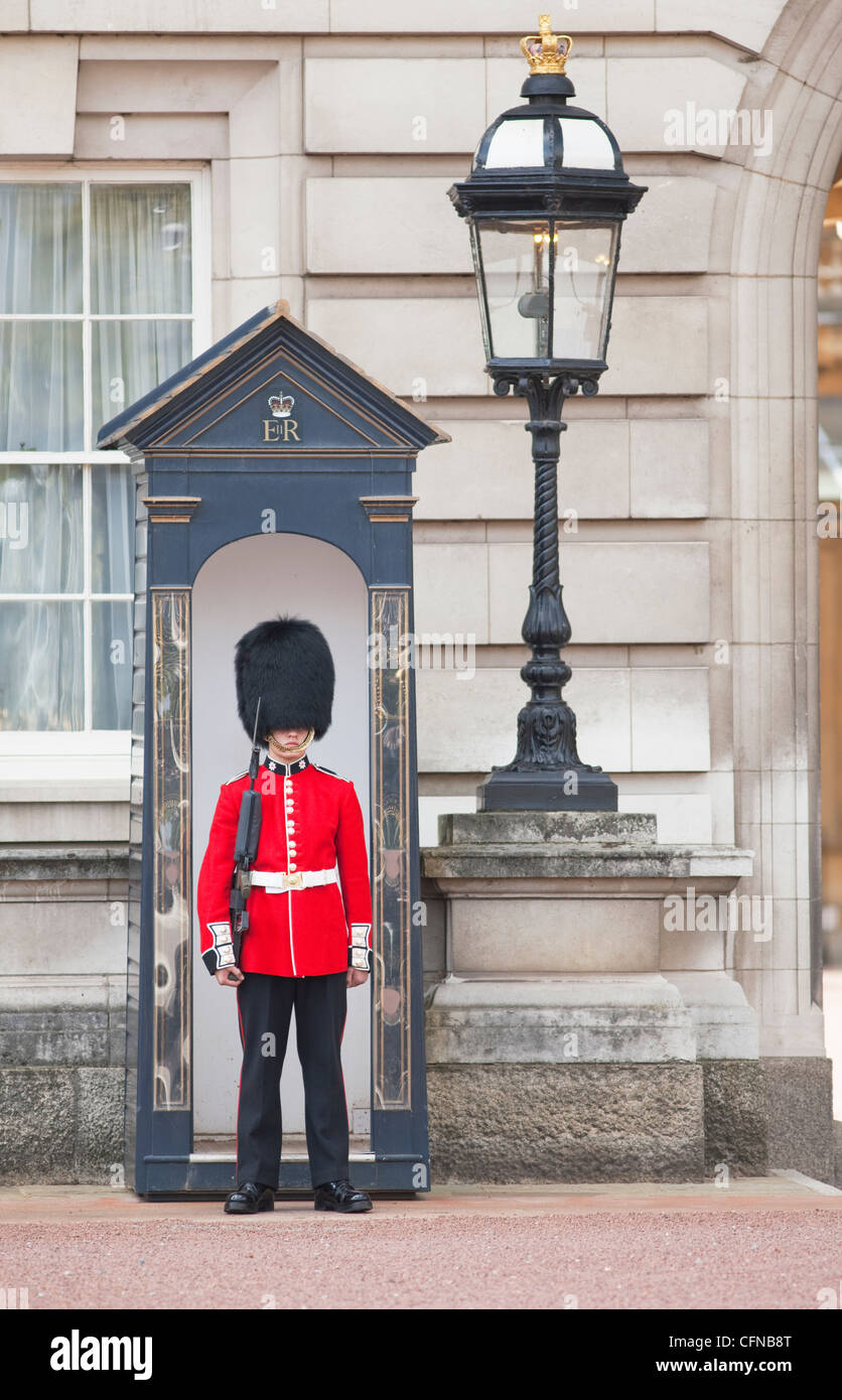 Königliche Wache stehen außerhalb der Buckingham Palace, London, England, Vereinigtes Königreich, Europa Stockfoto