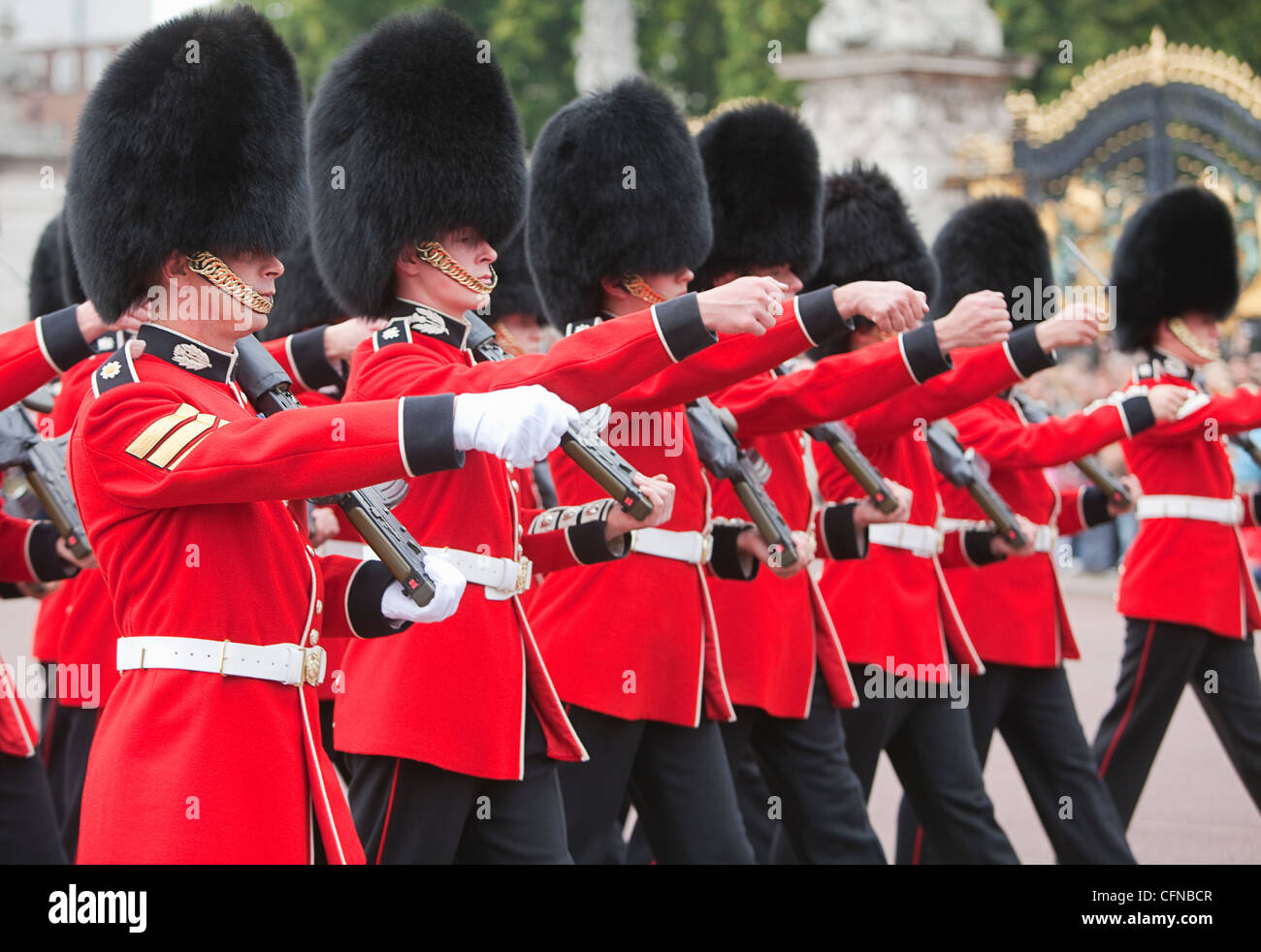Die Wachablösung am Buckingham Palace, London, England, Vereinigtes Königreich, Europa Stockfoto
