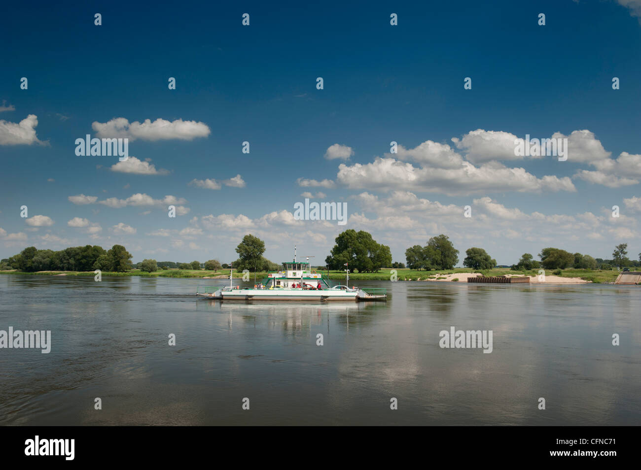 Auto und Personenfähre Kreuzung Elbe River, Rogatz, Sachsen-Anhalt, Deutschland, Europa Stockfoto