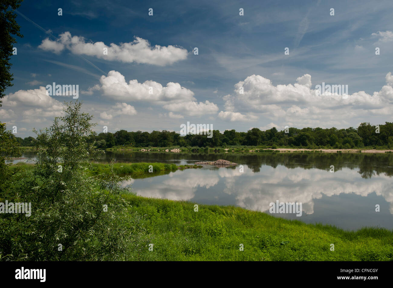 Elbe und seiner Flora in der Nähe von Dorf Storkau, Sachsen-Anhalt, Deutschland, Europa Stockfoto