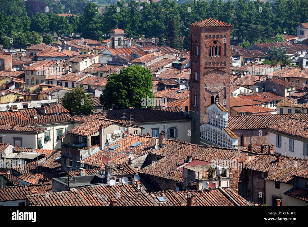 Blick auf die Kathedrale, Lucca, Toskana, Italien, Europa Stockfoto