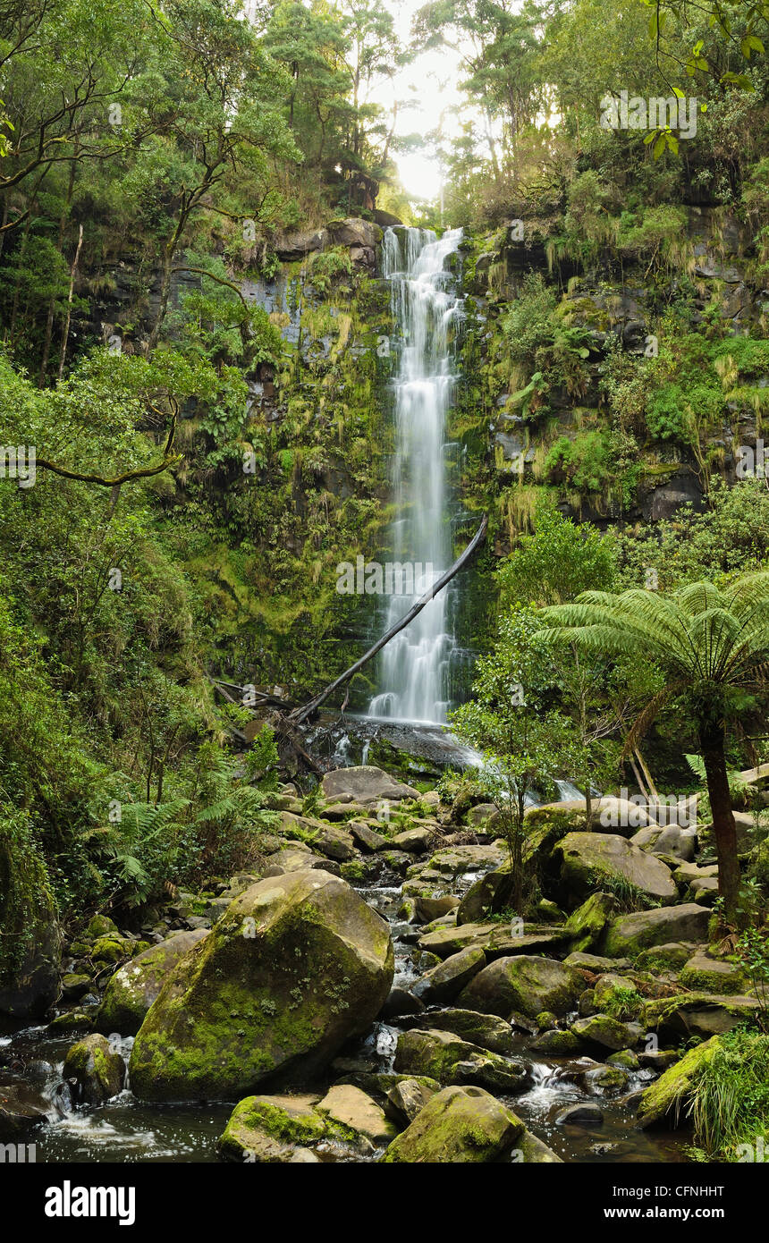 Erskine Falls, Great Otway National Park, Victoria, Australien, Pazifik Stockfoto