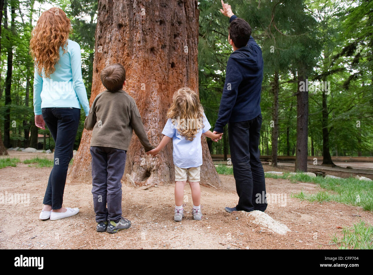 Familie stehen gemeinsam auf Basis des Baumes, Rückansicht Stockfoto