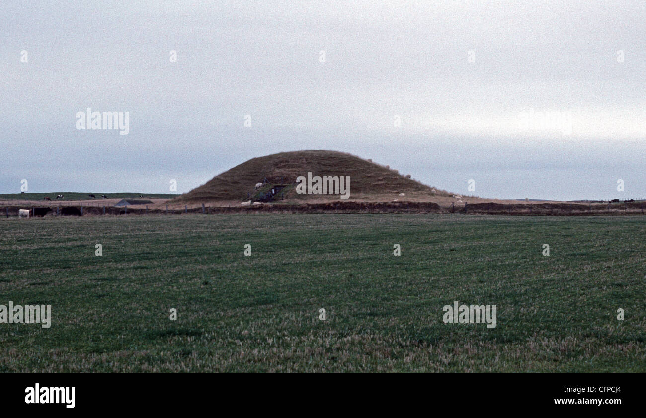 Kann - Orkney Stockfoto