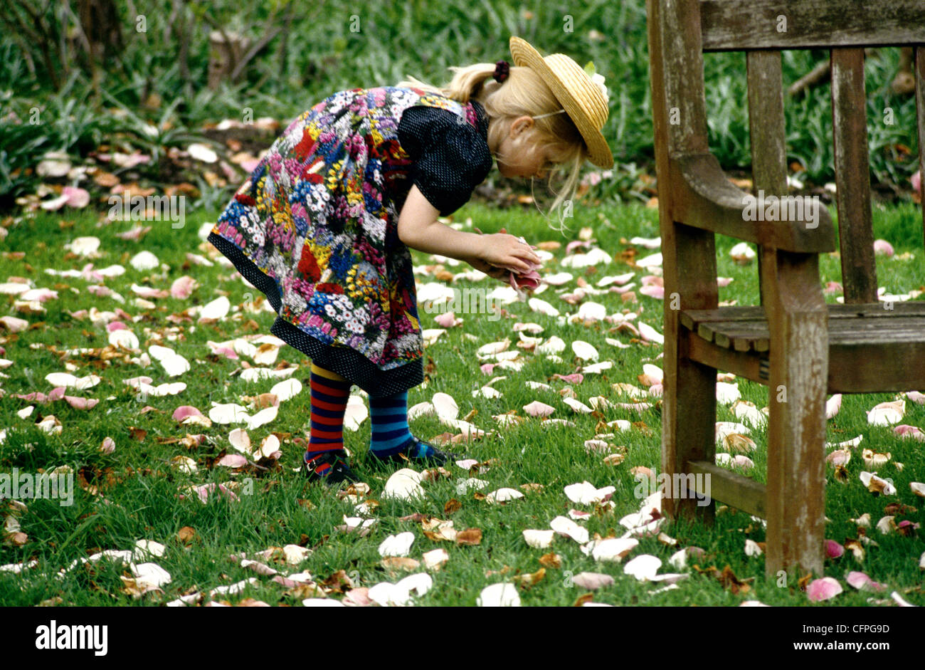 Ein Kind sammelt gefallene Blüten in Kew Gardens London Stockfoto
