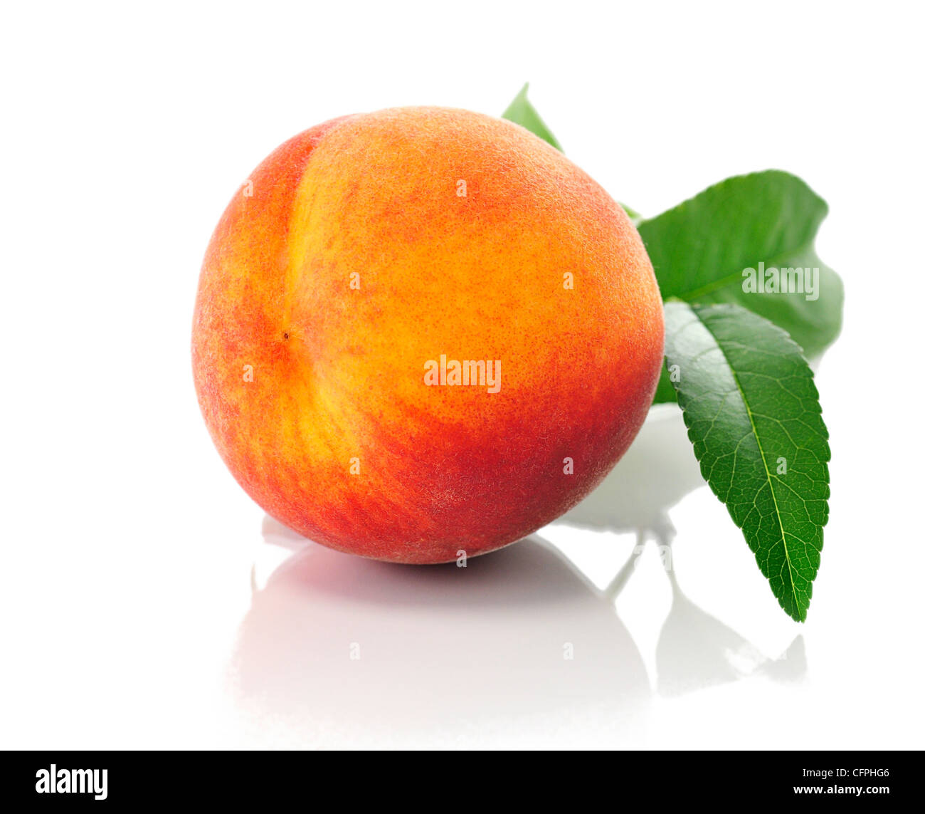 ein Pfirsich auf weißem Hintergrund Stockfoto