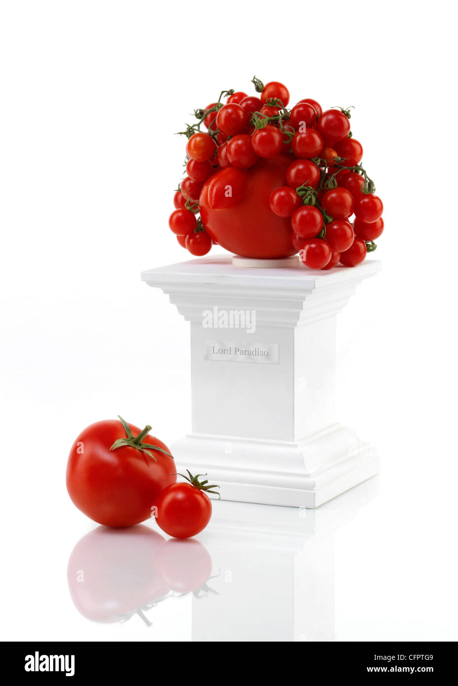 Dies ist ein ungewöhnlich lustige Porträtaufnahme über Lord Tomate. Stockfoto
