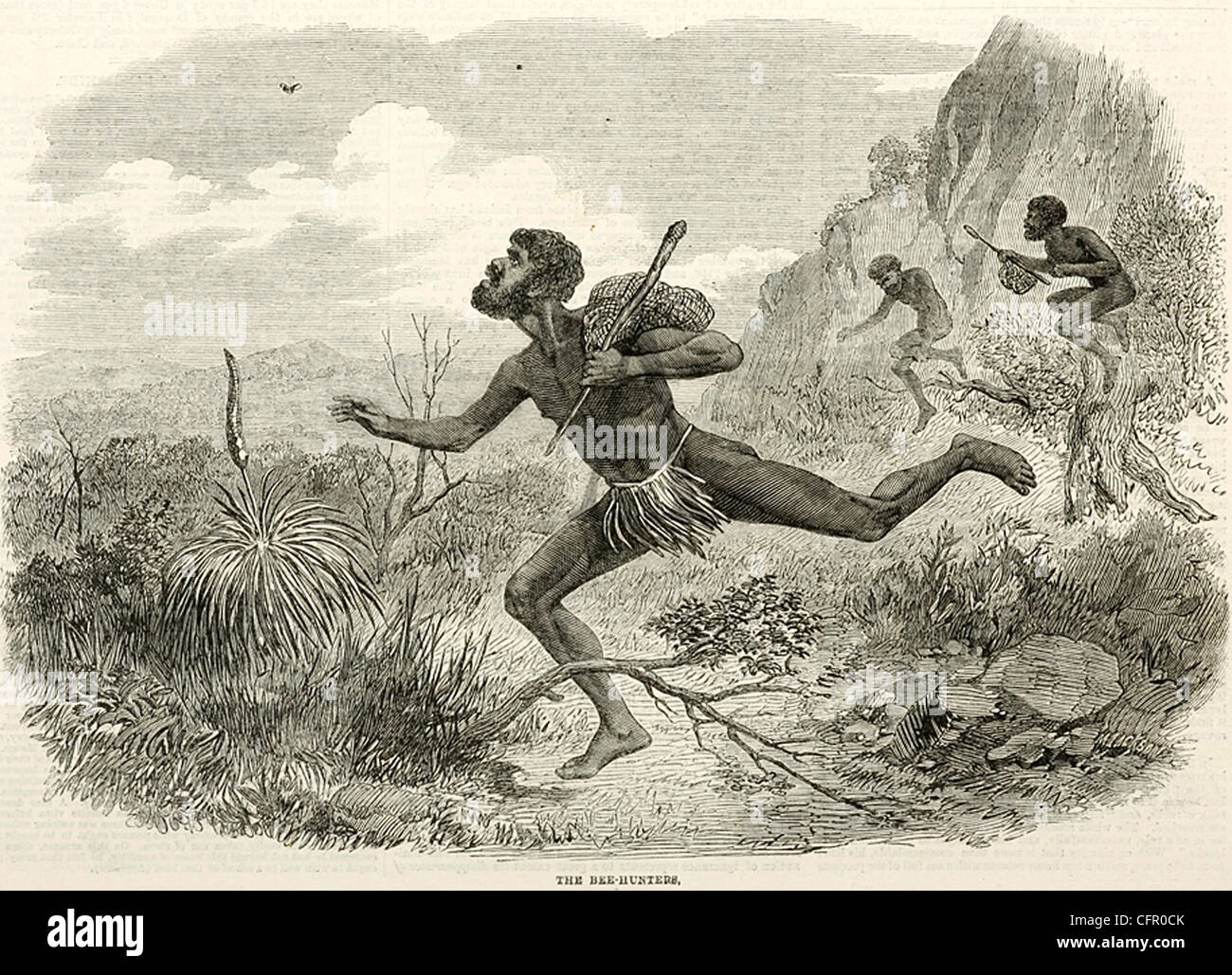 DIE Biene Jäger Gravur von Illustrated London News 1863 Stockfoto