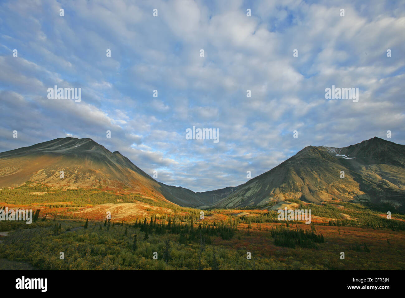 North Canol Road, Yukon Stockfoto