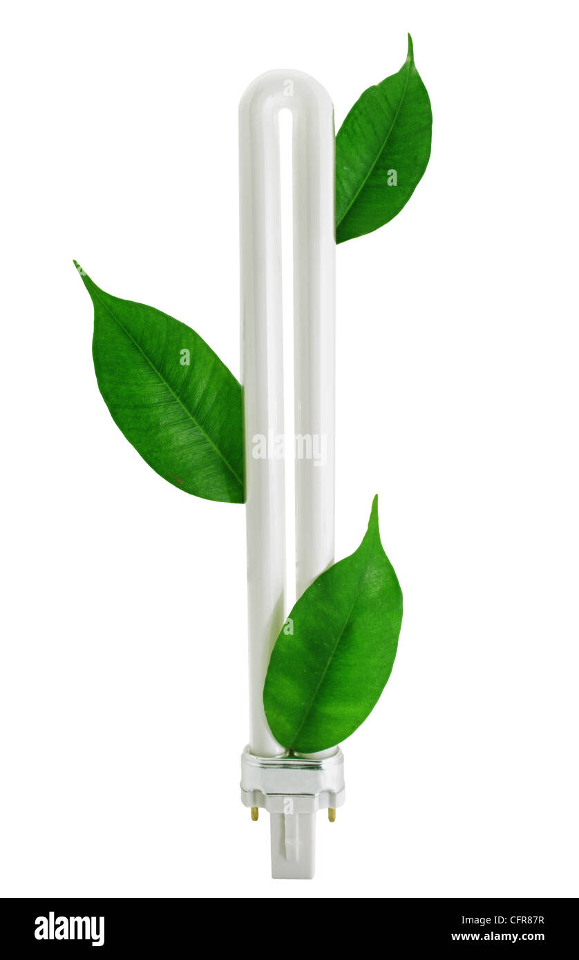 Fluoreszierende Eco Lampe mit grünen Blättern Stockfoto