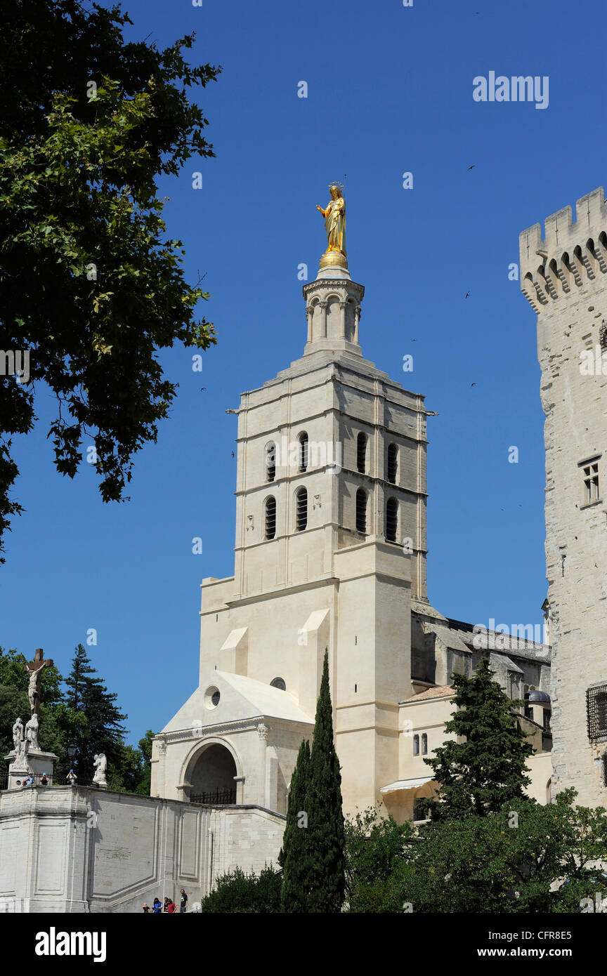 Palais des Papes (Papstpalast), UNESCO-Weltkulturerbe, Avignon, Provence, Frankreich, Europa Stockfoto