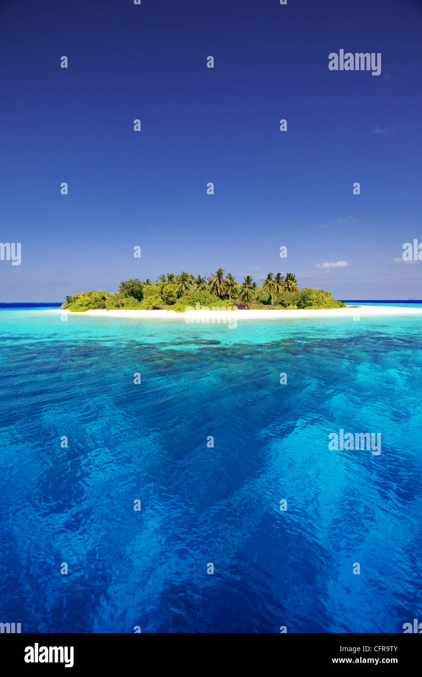 Tropische Insel und Lagune in Malediven, Indischer Ozean, Asien Stockfoto